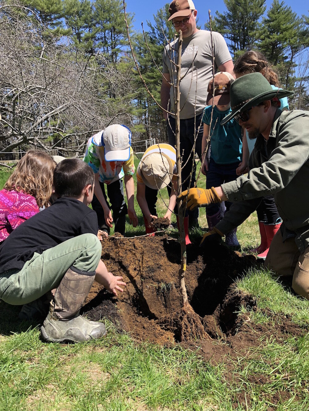 Maine Community Foundation Grant  (Copy)